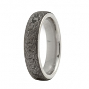 Ring brushed 6 mm with carbon insert rounded